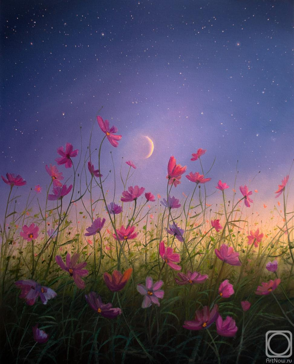 ������� ������ �� ������. ��� ��������. �������