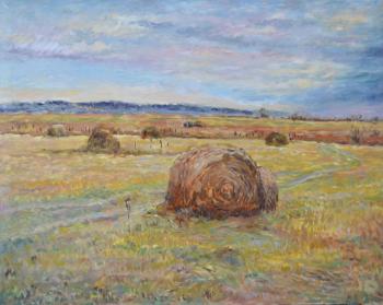 Hay harvesting. Rudenko Yurii