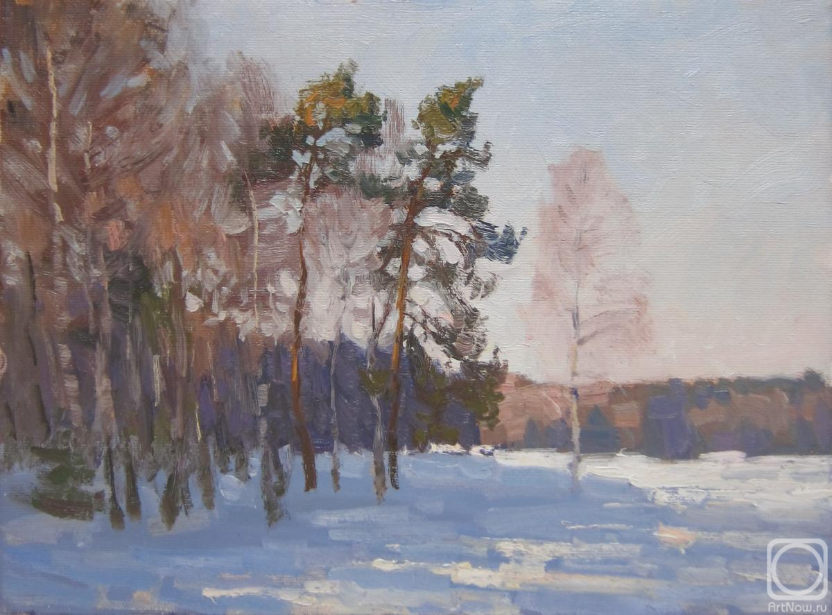 Chertov Sergey. Forest lake in winter