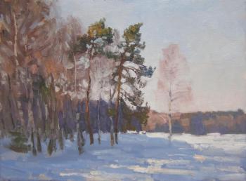 Forest lake in winter