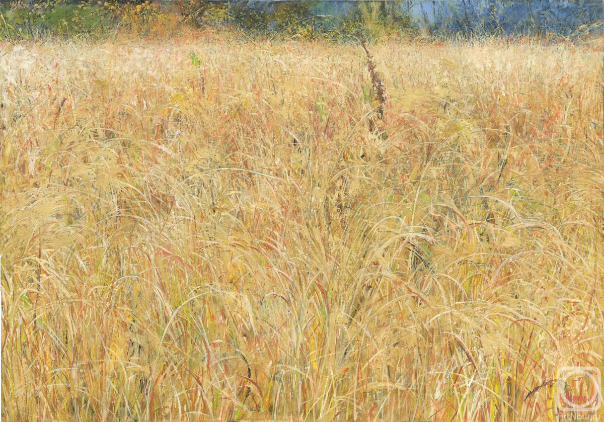Chernov Denis. Grass October