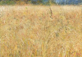 Grass October (Denis Chernov). Chernov Denis