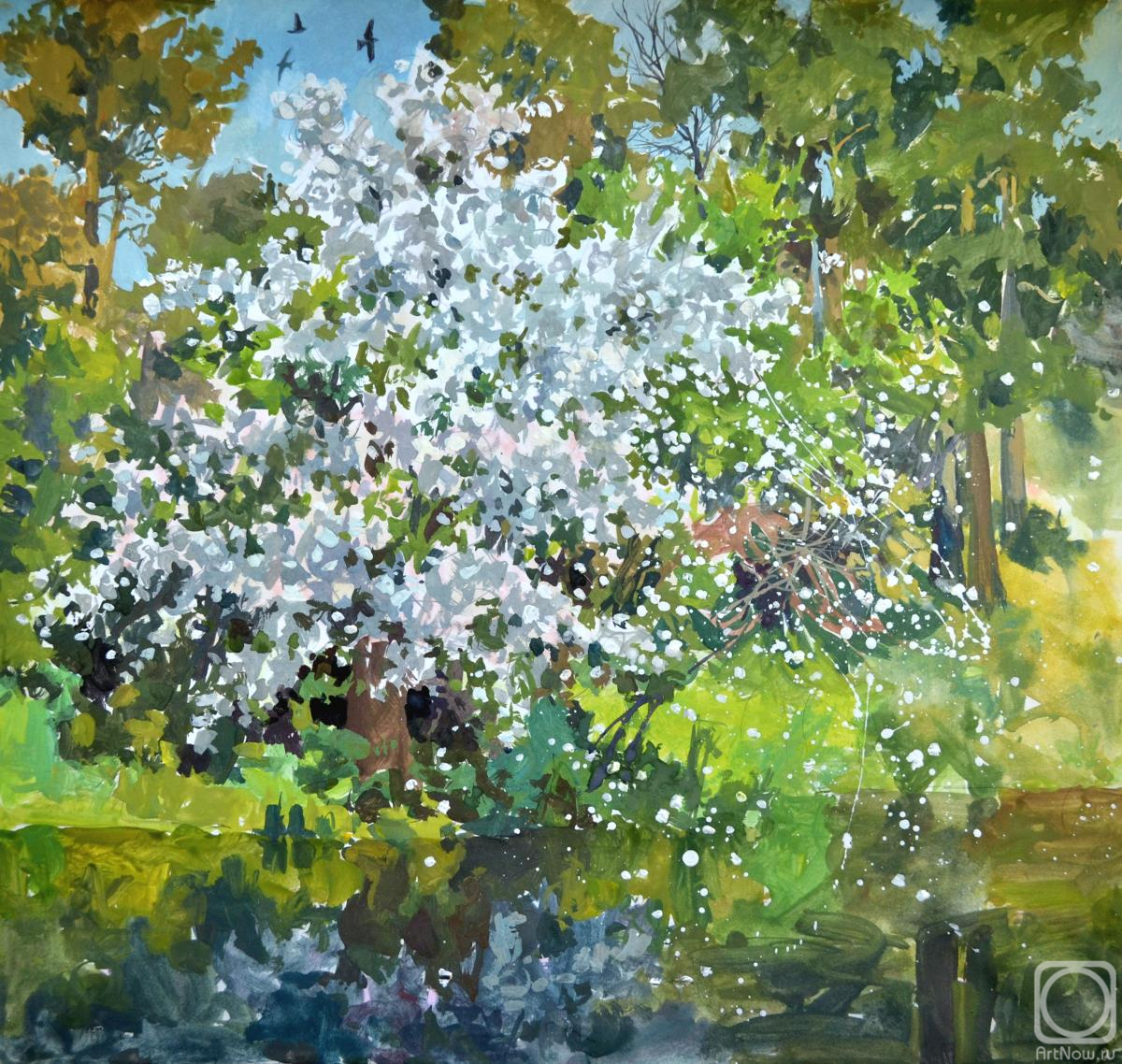 Barsukov Alexey. Untitled