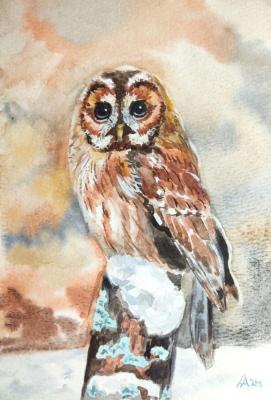 Owl painting original watercolor art (Painting With An Owl). Lapina Albina