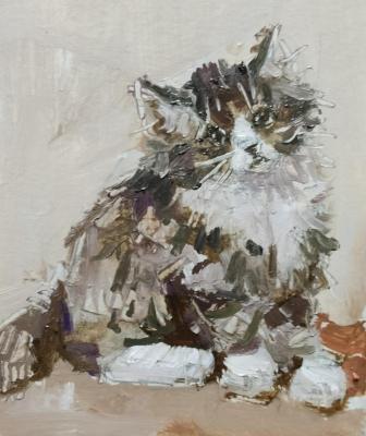 ������� ����������