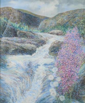 A bouquet of northern flowers on the background of waterfalls on the Titovka river. Sytin Albert