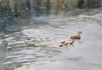 From the series At the Chayachye Lake (Ducks In The). Polzikova Oksana