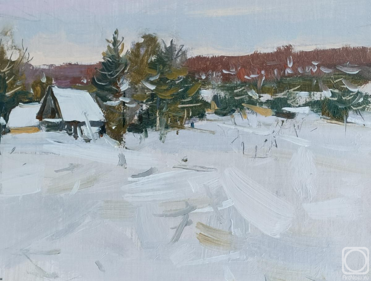 Polyakov Arkady. Snow, Vologda region