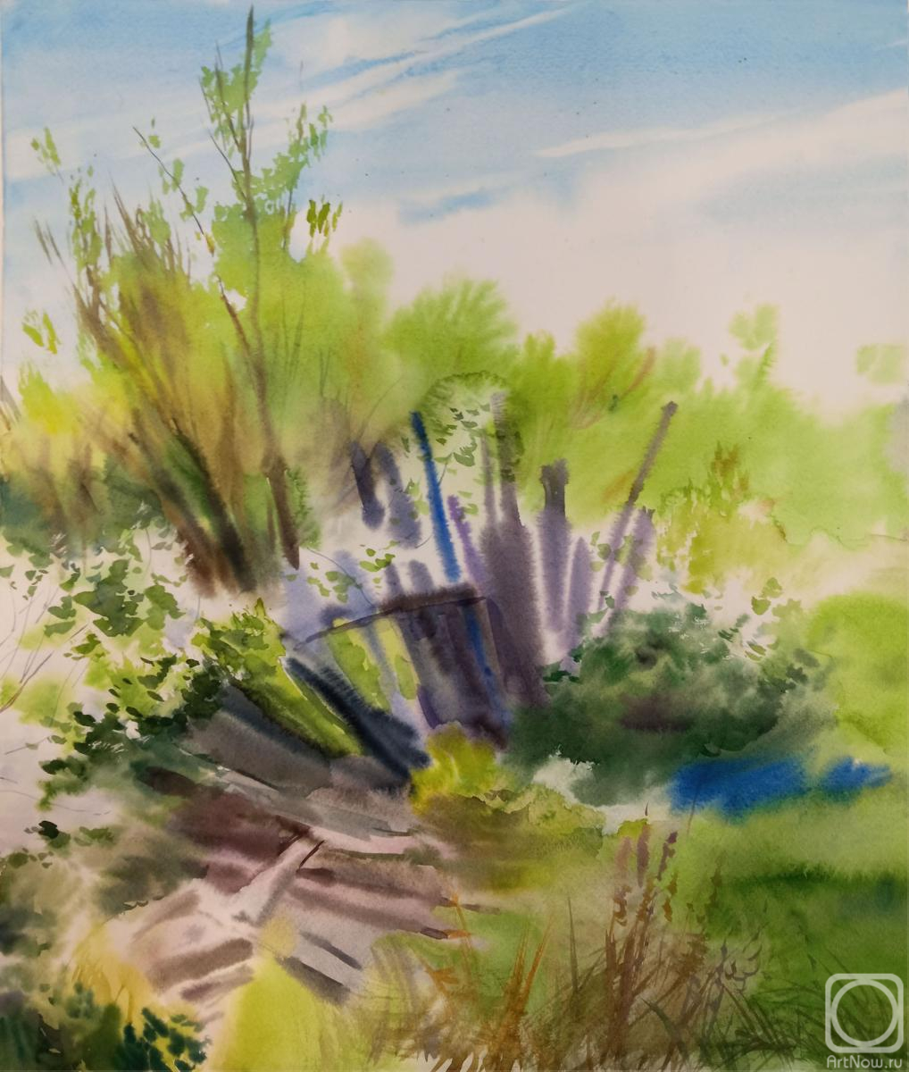 Goryushkina Anastasiya. The old cottage