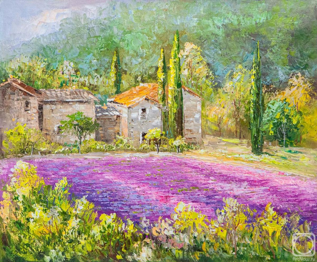 Vlodarchik Andjei. Summer warmth of Provence