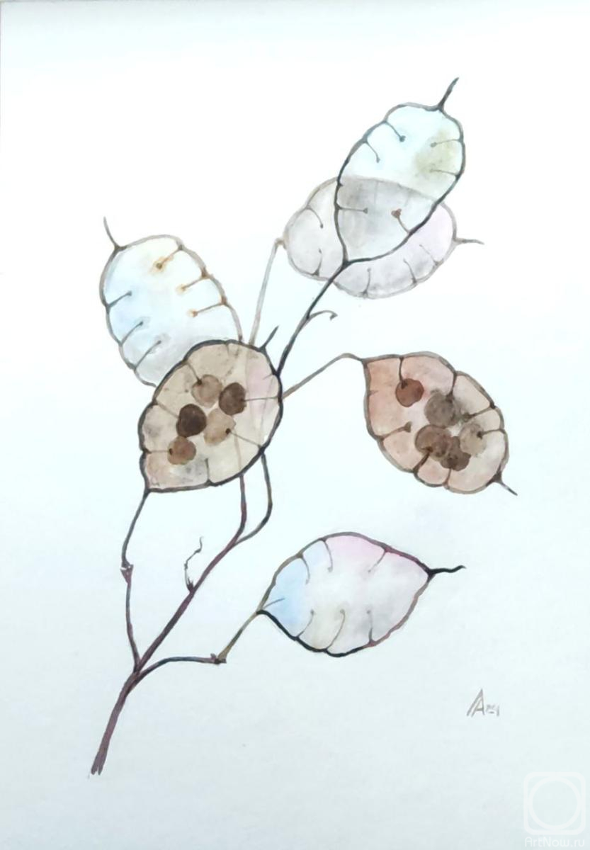 �������. ������ �������. �������