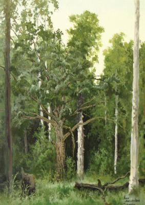 ������� ����