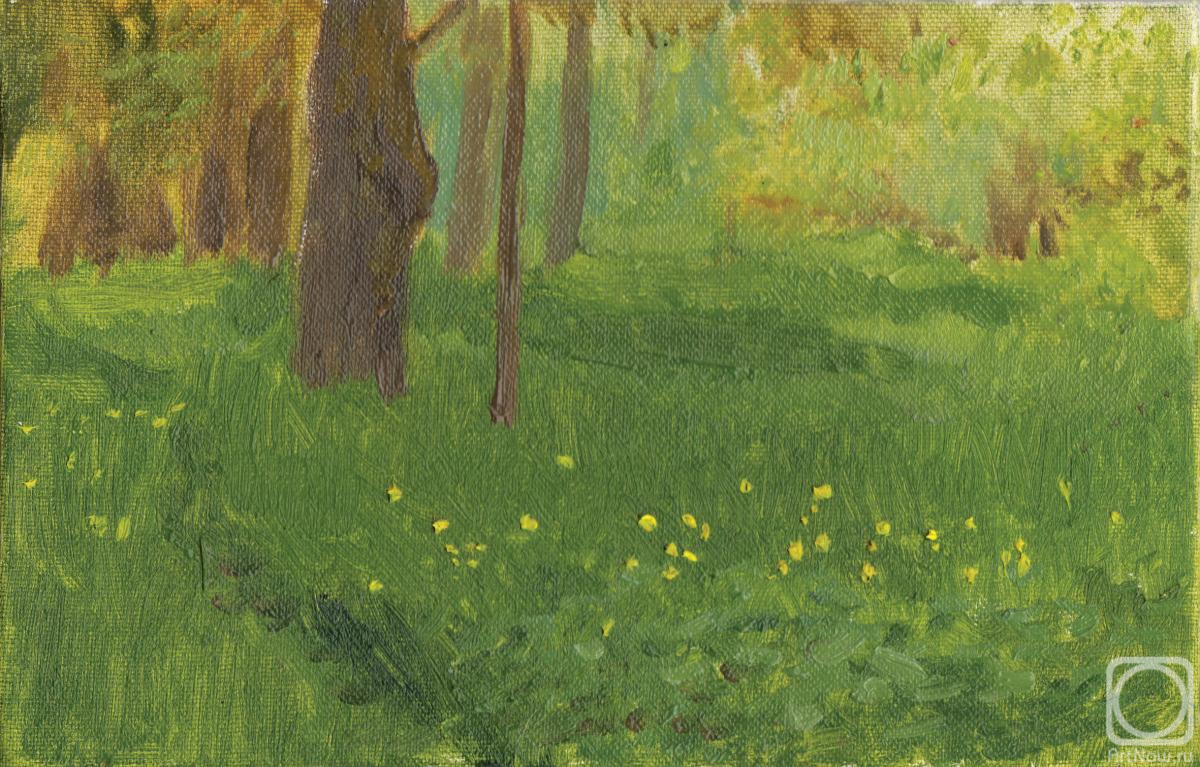 ������� ������ �� ������. ����� �����. ������ ����� (����������)