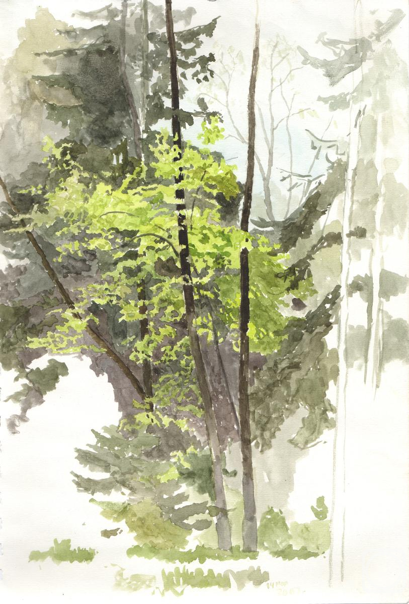 �������. ����� �����. �������� ������