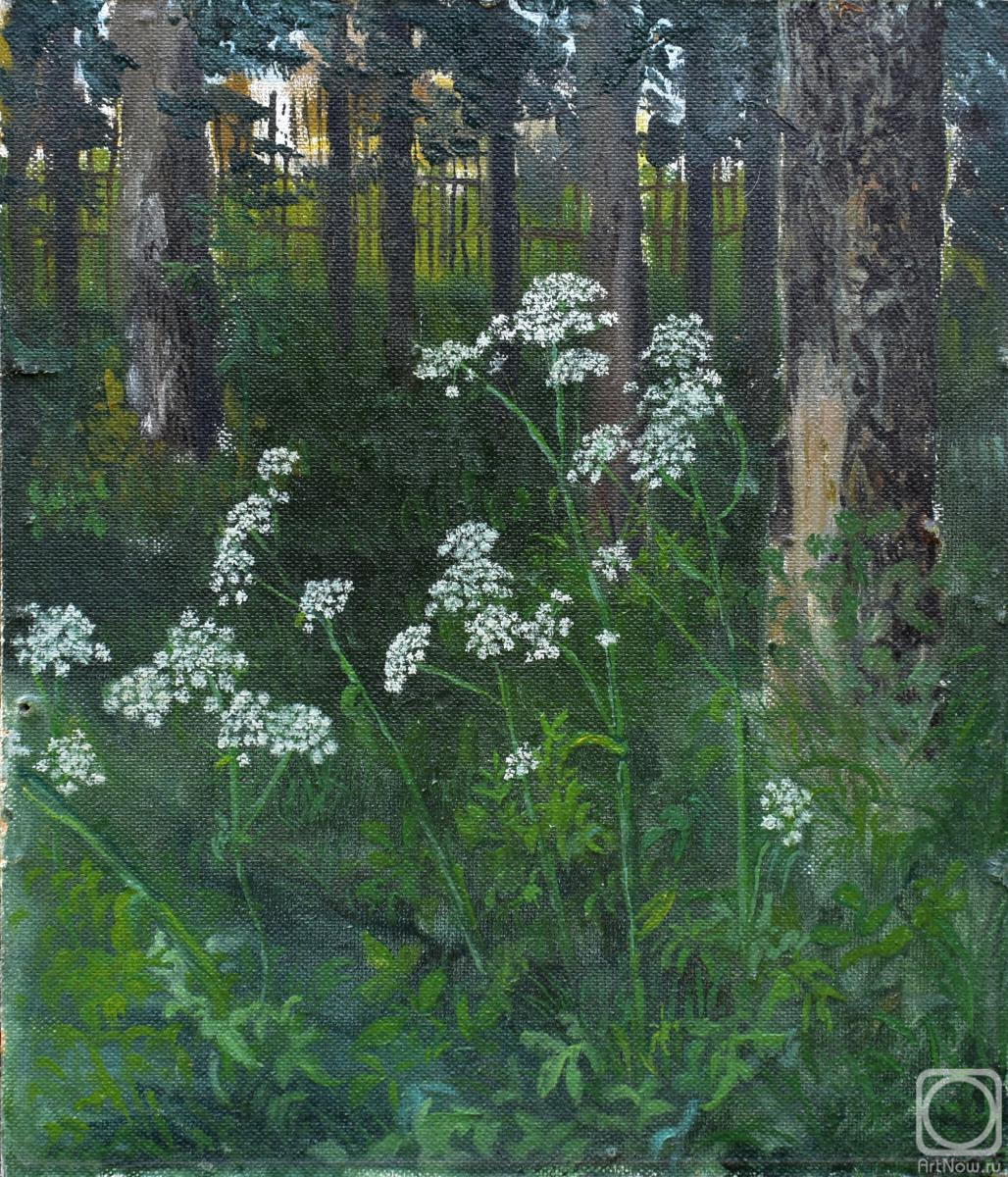 Mashin Igor. Forest angelica