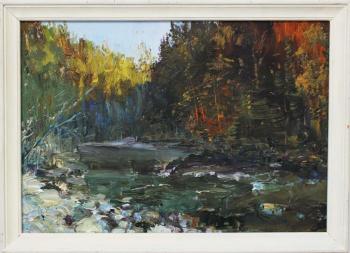 Mountain river. Arkhyz