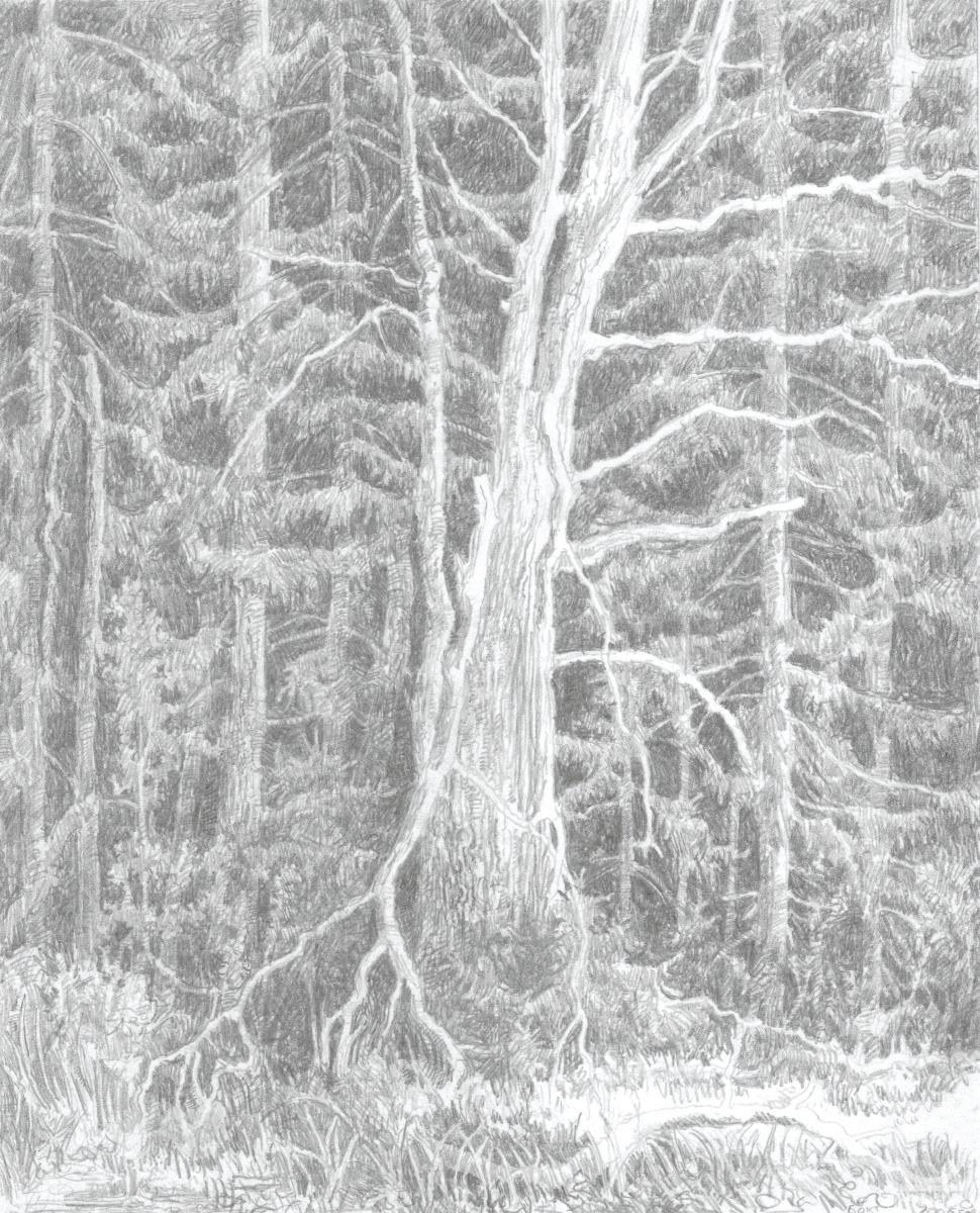 �������. ����� �����. ���