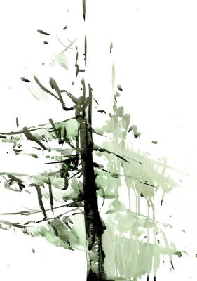 From the series "The Forest" (sheet 1). Belkina Kseniya
