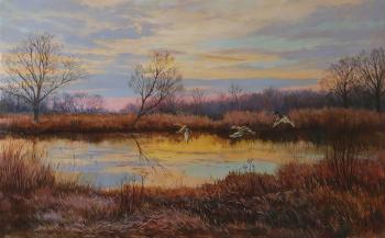 Duck Lake (). Panov Eduard