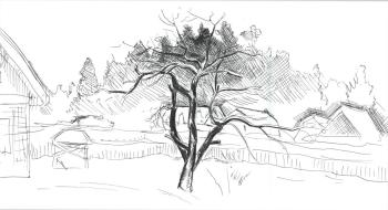 Winter apple tree. Mashin Igor