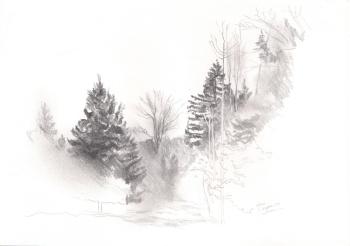 A sketch of a forest clearing