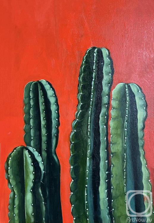 ������� ������ �� ������. ������ �����. ������� ������� �� ������� ����