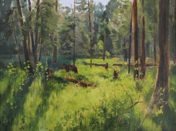 The sunny edge of the forest (Craftsmanship). Mashin Igor