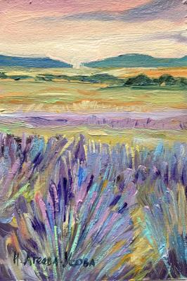   (Lavender Field). - 