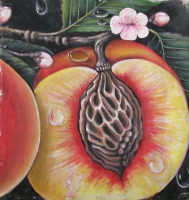 ������� �������