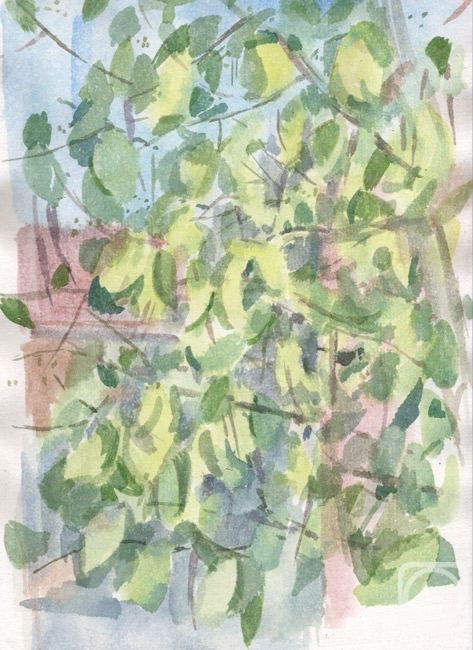 �������. ������� ����. ������