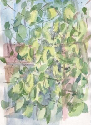 ������� ��������