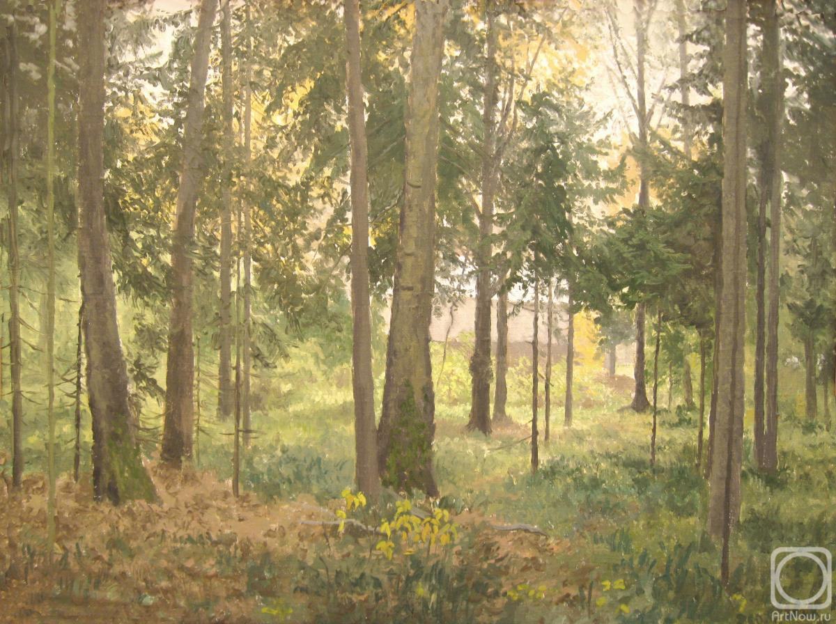 Mashin Igor. Autumn forest