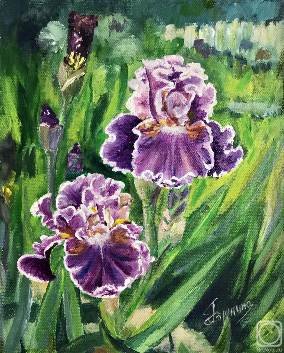 �������. �������� ������. �����