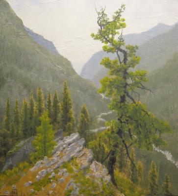 Above the arrow (In The Gorge). Petuhov Dmitriy