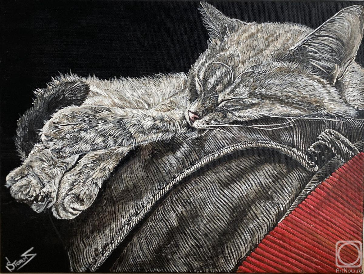 �������. �������� ��������. �������������