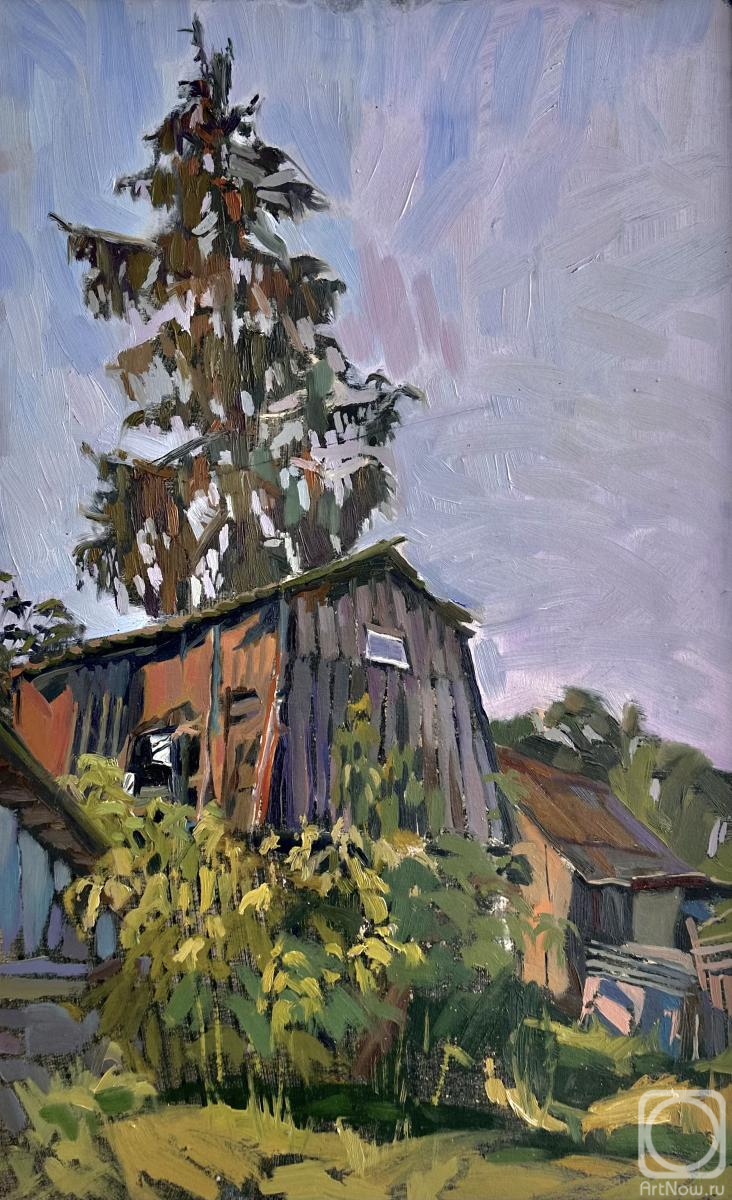 Oparina Polina. At dawn