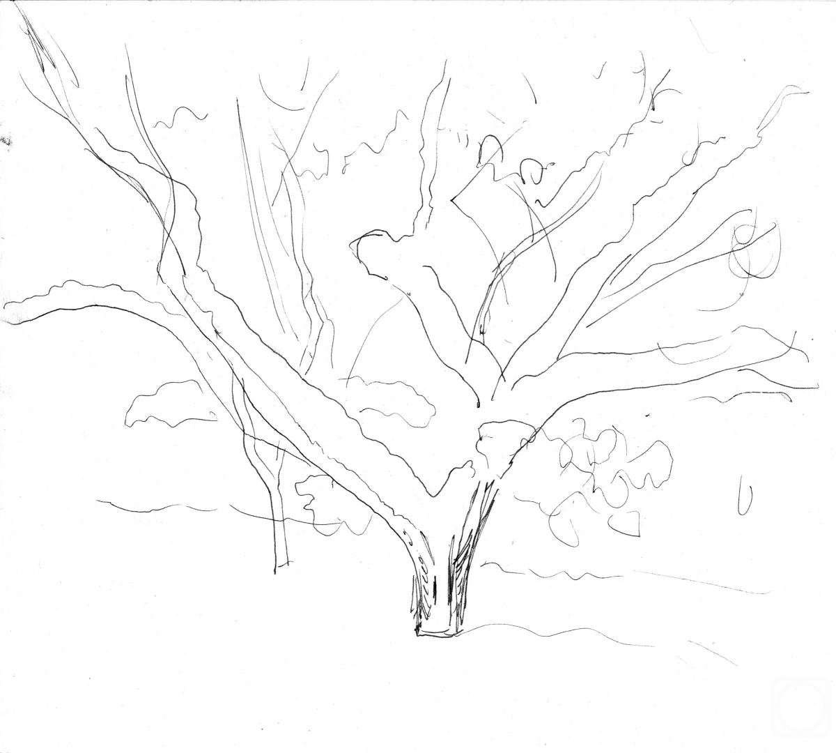 Mashin Igor. Apple tree