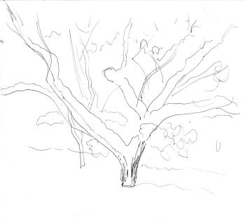 ������� ��������