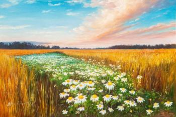 In a chamomile field (Chamomile Oil Painting). Romm Alexandr