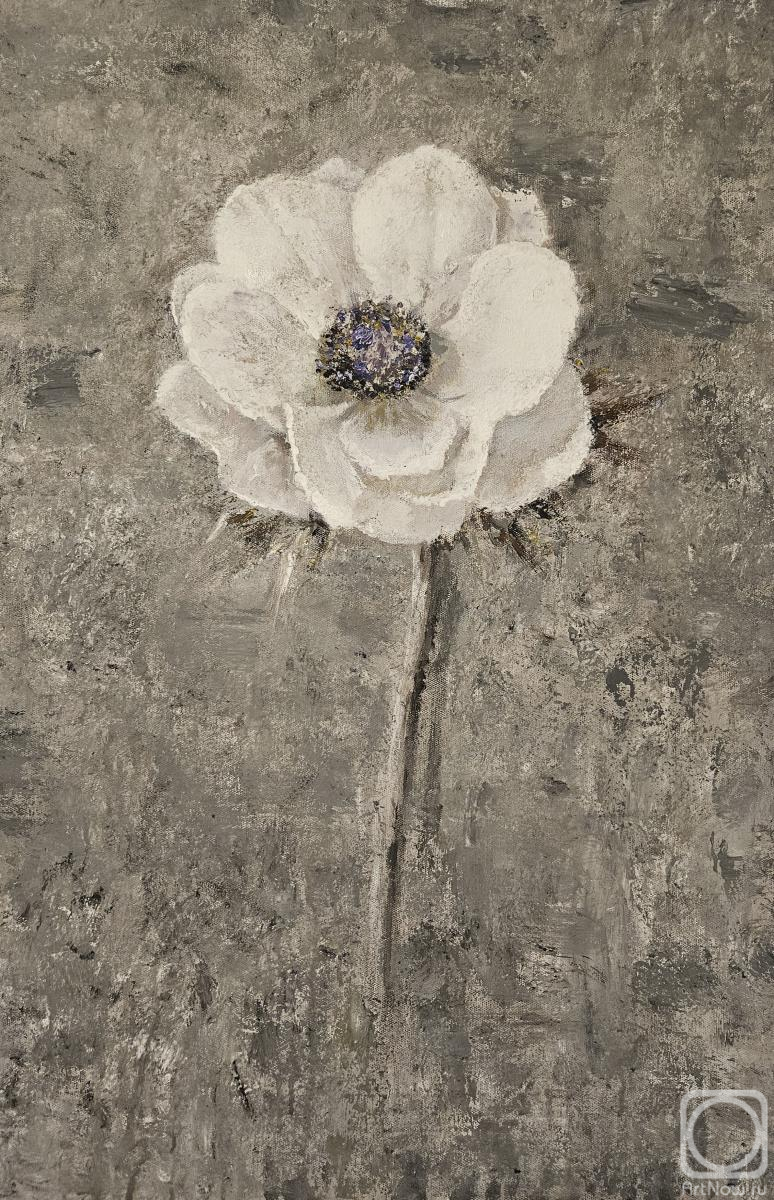 �������. ���������� �������. ������