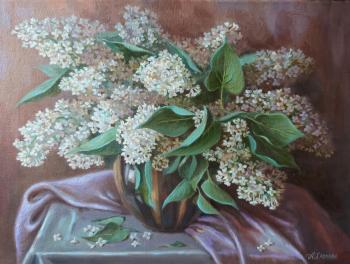 White lilac (Floral Oil Painting). Norenko Anastasya