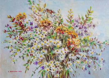 Flowers from the field (Painting Chamomile Field). Kruglova Svetlana