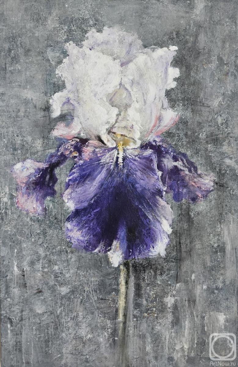 �������. ���������� �������. ����