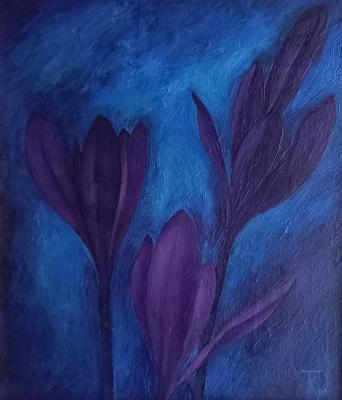 Crocus. Kurochkin Gennady