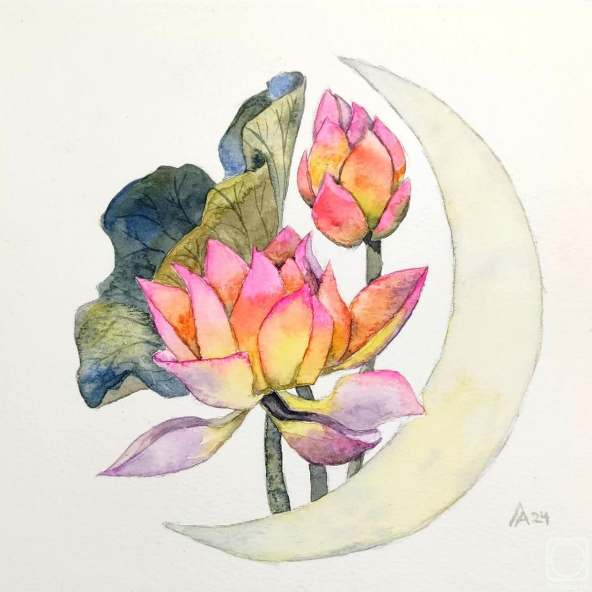 Lapina Albina. Lotus painting moon painting original watercolor art pink flower waxing moon