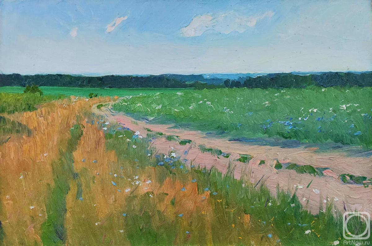 Melnikov Aleksandr. A June afternoon in the fields