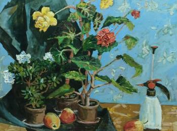 Begonia. Polyakov Arkady
