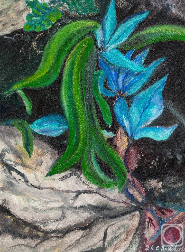 ������� ������ �� ������. ��������� ������. ��������