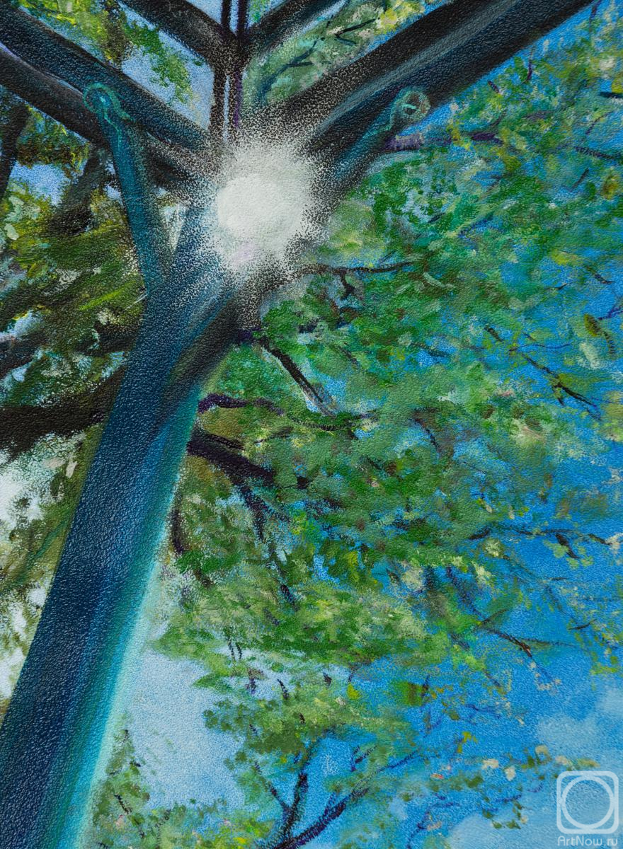 ������� ������ �� ������. ��������� ������. ������� �����