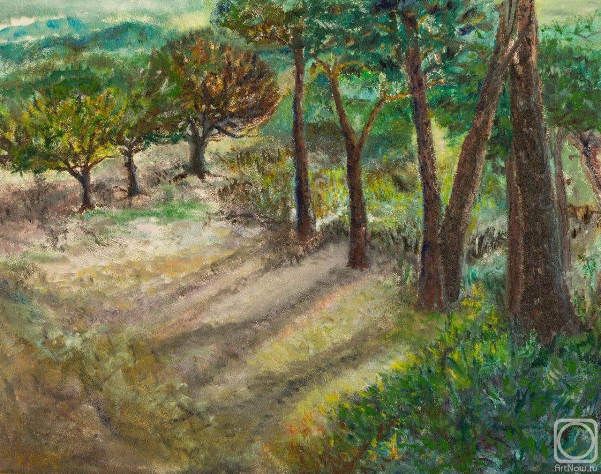 ������� ������ �� ������. ��������� ������. ���������